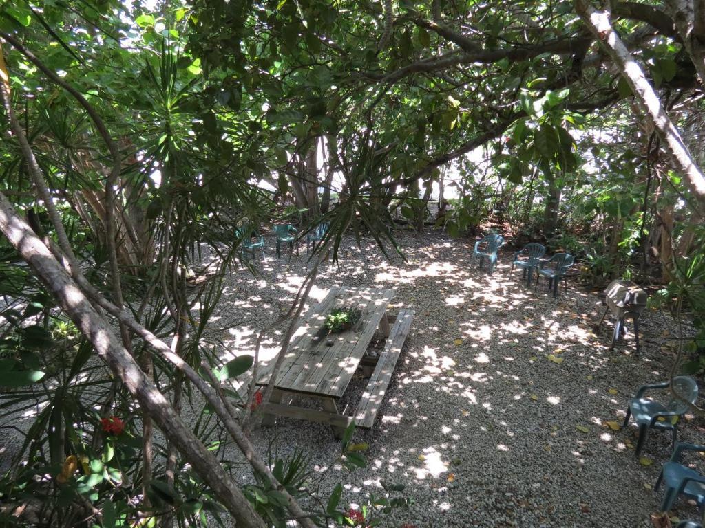 Ed & Ellen'S Lodgings Key Largo Motel Quarto foto