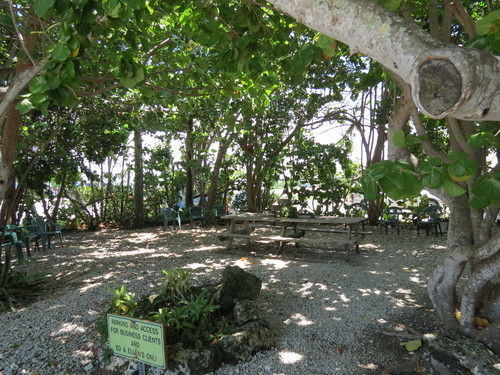 Ed & Ellen'S Lodgings Key Largo Motel Exterior foto